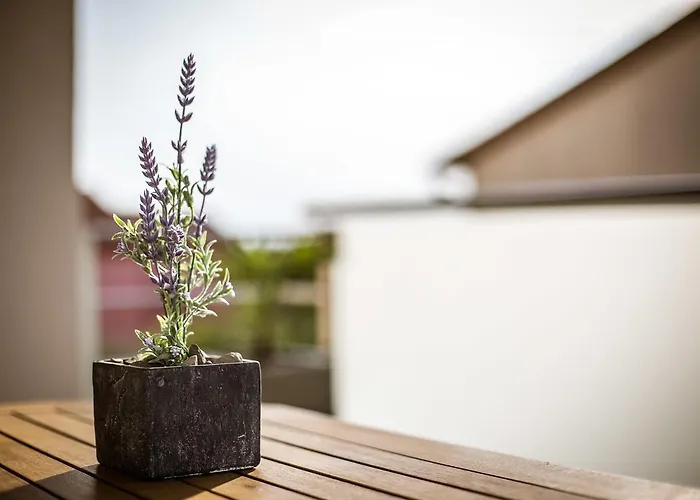 Διαμέρισμα Marco Fažana